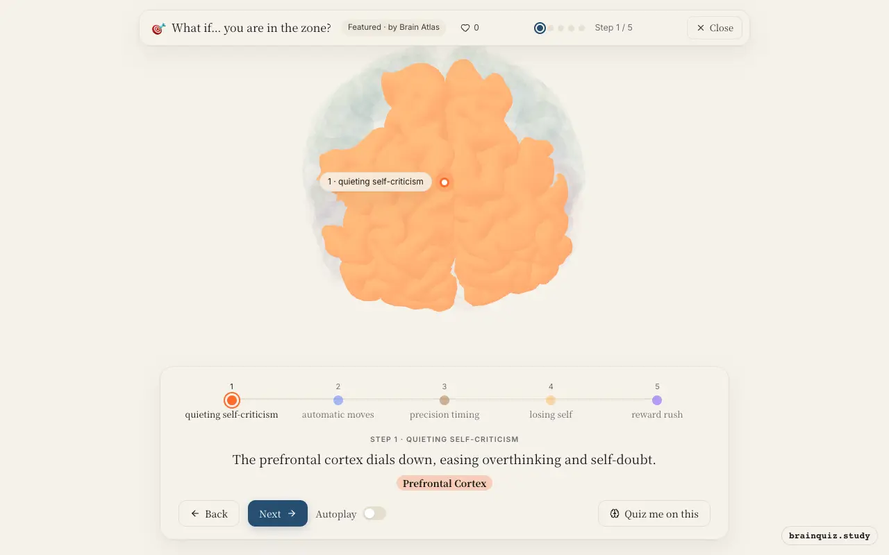 Step 1 of what happens in your brain when you are in the zone: Prefrontal Cortex lit on the Brain Atlas 3D brain