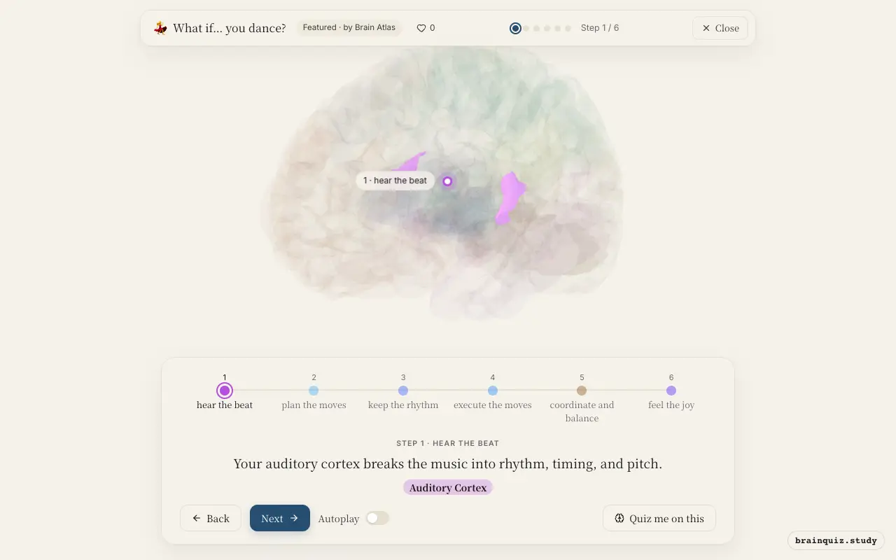 Step 1 of what happens in your brain when you dance: Auditory Cortex lit on the Brain Atlas 3D brain