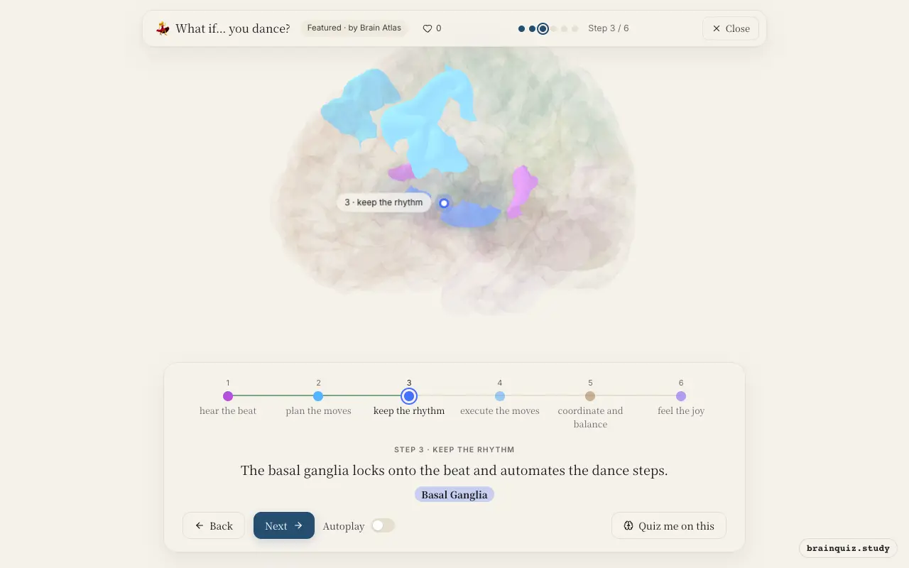Step 3 of what happens in your brain when you dance: Auditory Cortex, Premotor Cortex, Basal Ganglia lit on the Brain Atlas 3D brain
