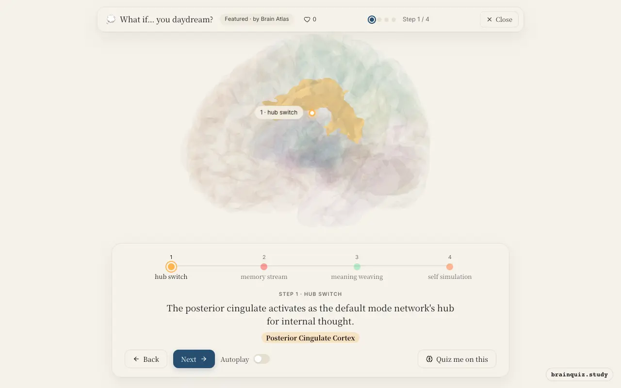 Step 1 of what happens in your brain when you daydream: Posterior Cingulate Cortex lit on the Brain Atlas 3D brain