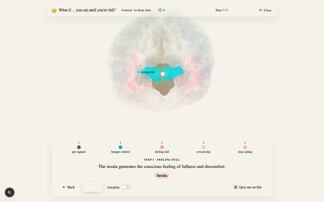 Step 3 of what happens in your brain when you eat until you're full: Brainstem, Hypothalamus, Insula lit on the Brain Atlas 3D brain