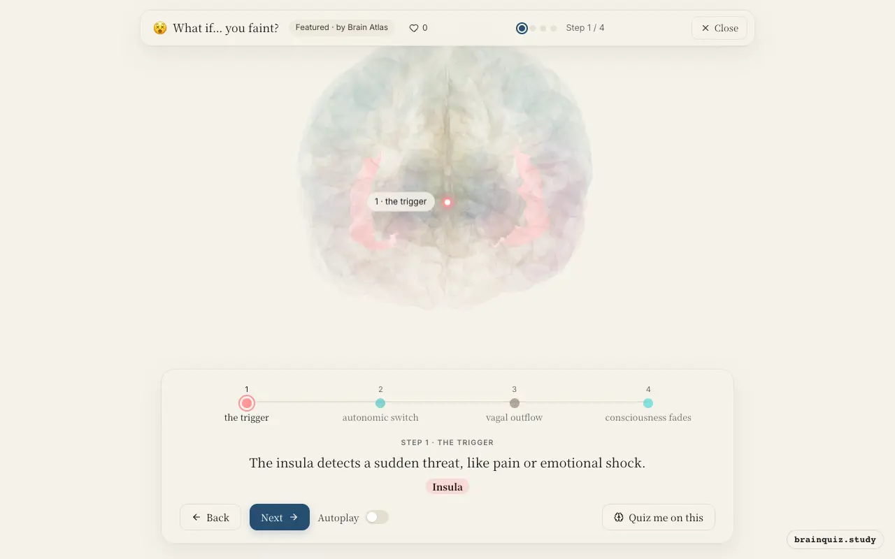 Step 1 of what happens in your brain when you faint: Insula lit on the Brain Atlas 3D brain