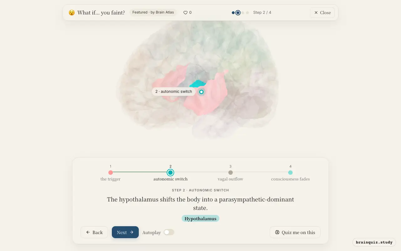 Step 2 of what happens in your brain when you faint: Insula, Hypothalamus lit on the Brain Atlas 3D brain