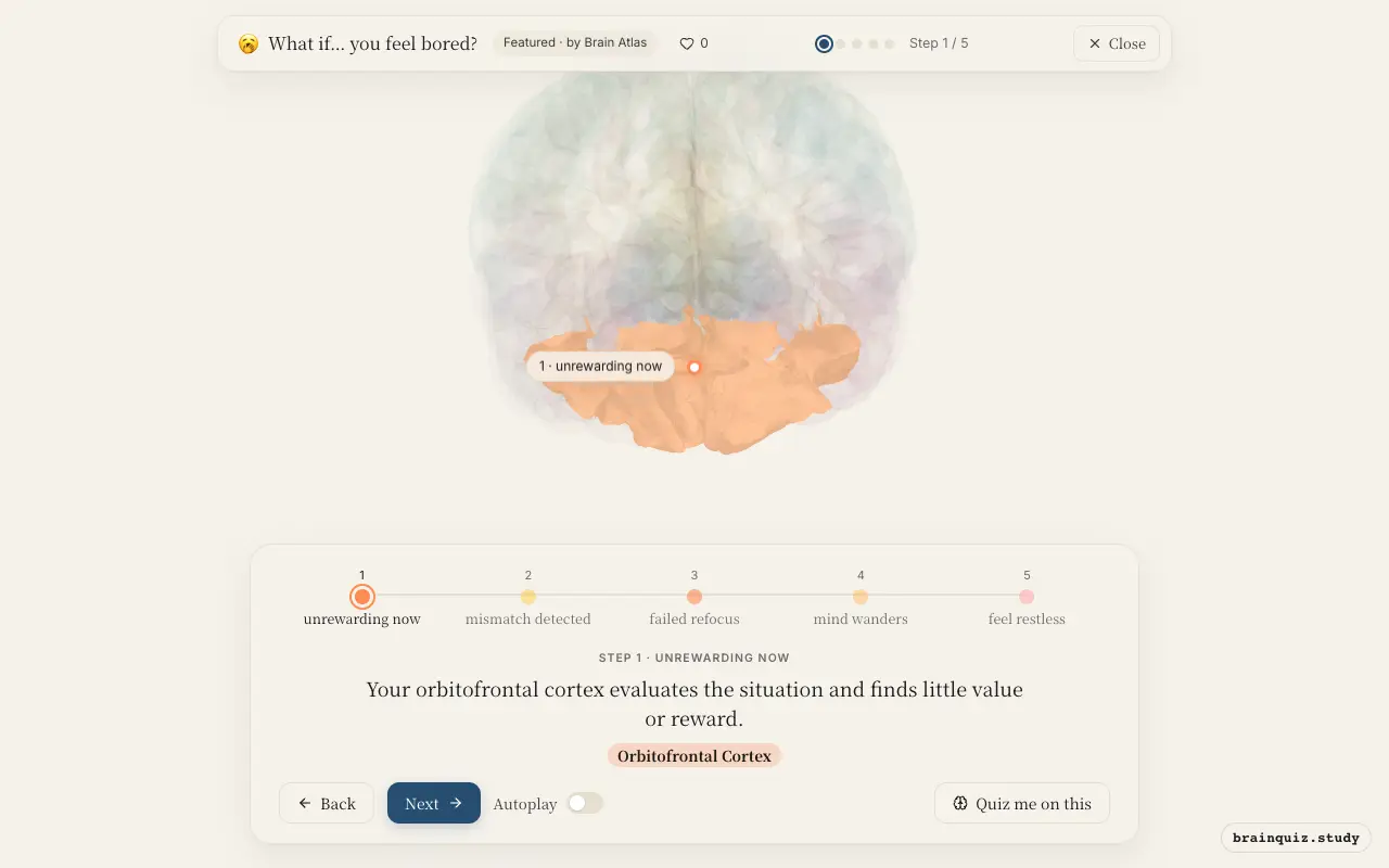 Step 1 of what happens in your brain when you feel bored: Orbitofrontal Cortex lit on the Brain Atlas 3D brain