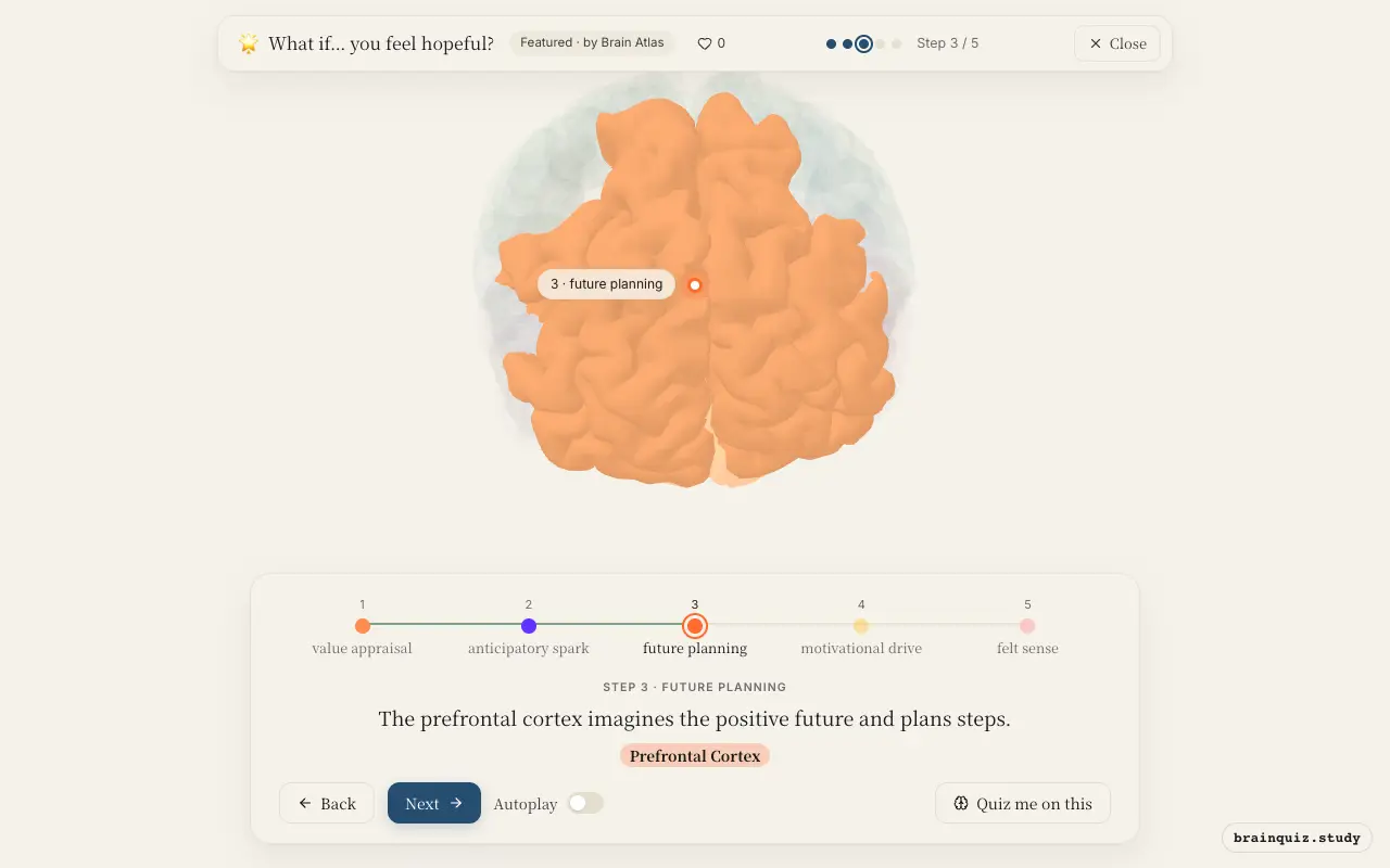 Step 3 of what happens in your brain when you feel hopeful: Orbitofrontal Cortex, Nucleus Accumbens, Prefrontal Cortex lit on the Brain Atlas 3D brain