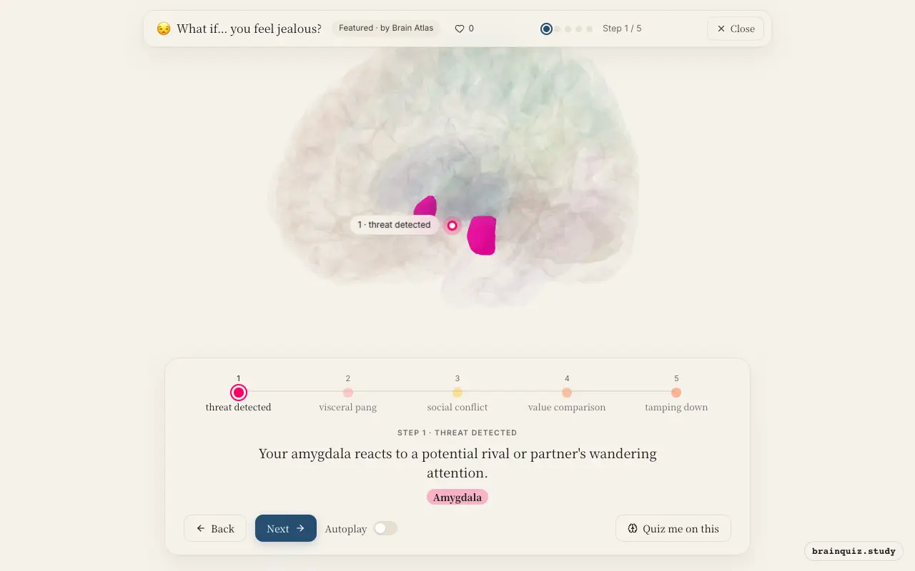 Step 1 of what happens in your brain when you feel jealous: Amygdala lit on the Brain Atlas 3D brain