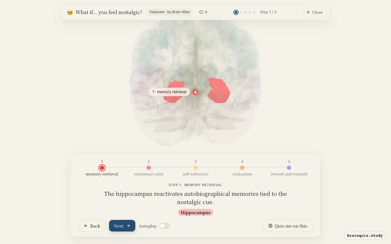 Step 1 of what happens in your brain when you feel nostalgic: Hippocampus lit on the Brain Atlas 3D brain