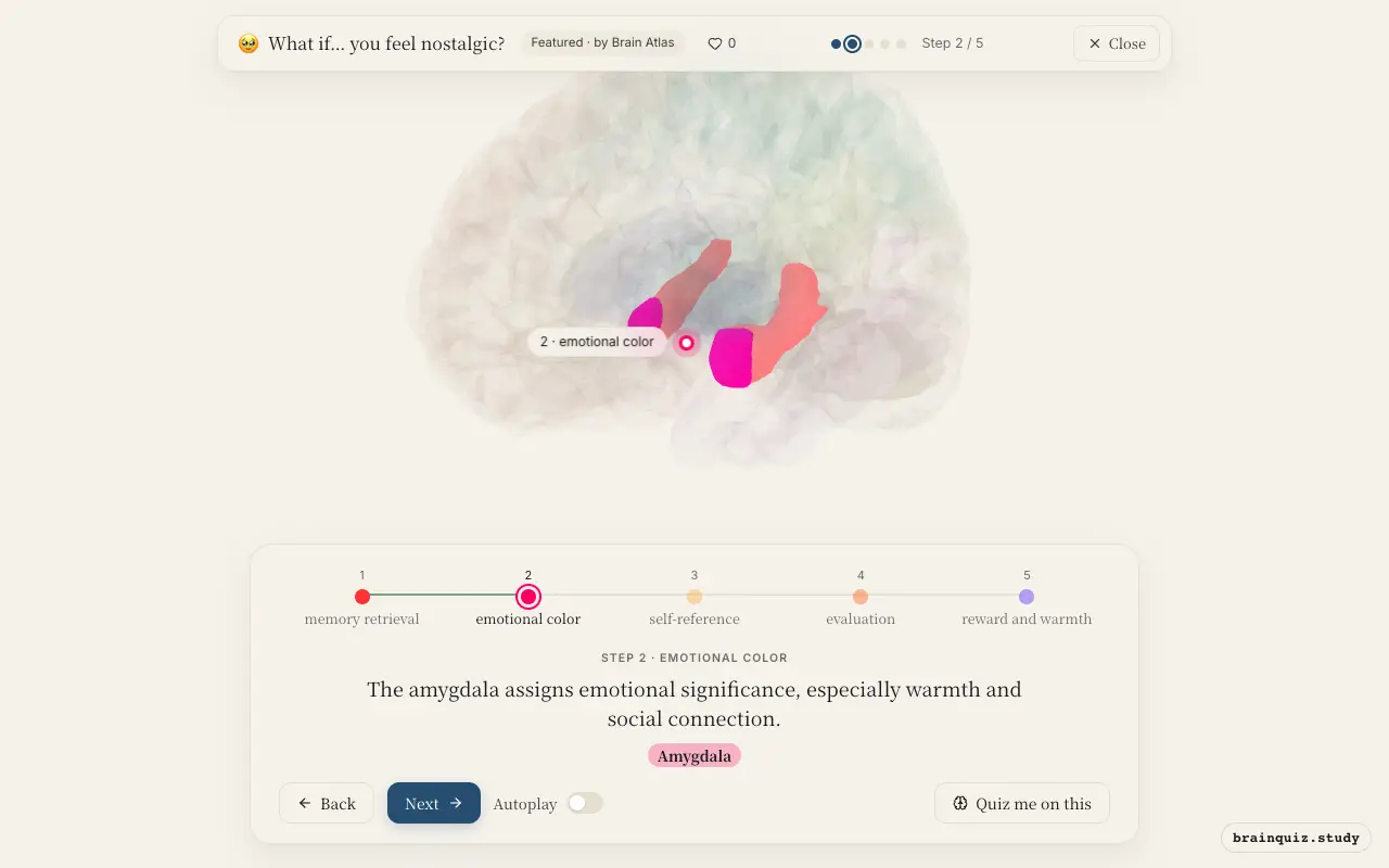 Step 2 of what happens in your brain when you feel nostalgic: Hippocampus, Amygdala lit on the Brain Atlas 3D brain