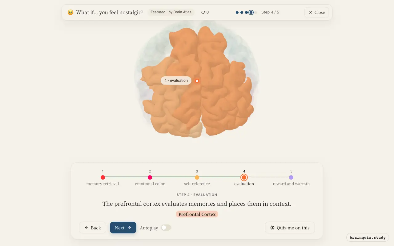 Step 4 of what happens in your brain when you feel nostalgic: Hippocampus, Amygdala, Posterior Cingulate Cortex, Prefrontal Cortex lit on the Brain Atlas 3D brain