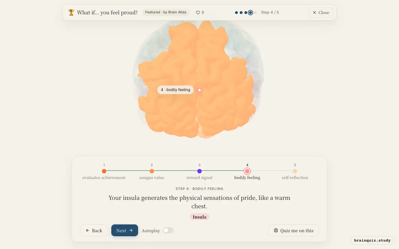 Step 4 of what happens in your brain when you feel proud: Prefrontal Cortex, Orbitofrontal Cortex, Nucleus Accumbens, Insula lit on the Brain Atlas 3D brain