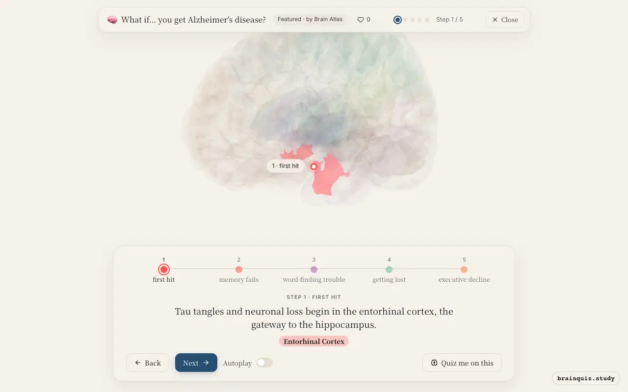 Step 1 of what happens in your brain when you get Alzheimer's disease: Entorhinal Cortex lit on the Brain Atlas 3D brain