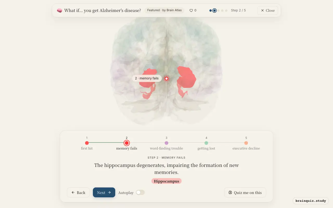 Step 2 of what happens in your brain when you get Alzheimer's disease: Entorhinal Cortex, Hippocampus lit on the Brain Atlas 3D brain