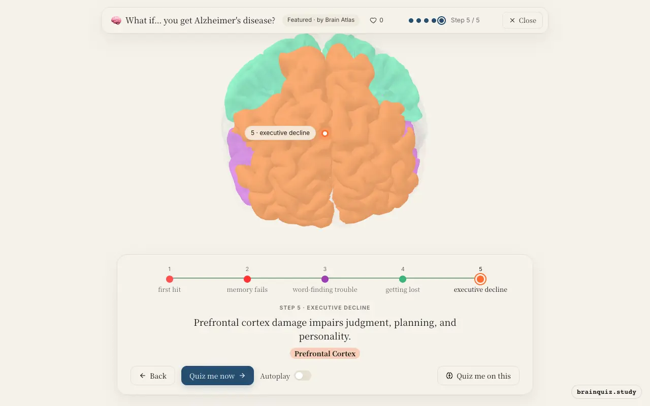 Entorhinal Cortex, Hippocampus, Temporal Cortex, Parietal Cortex, Prefrontal Cortex lit up on the Brain Atlas 3D brain: what happens in your brain when you get Alzheimer's disease