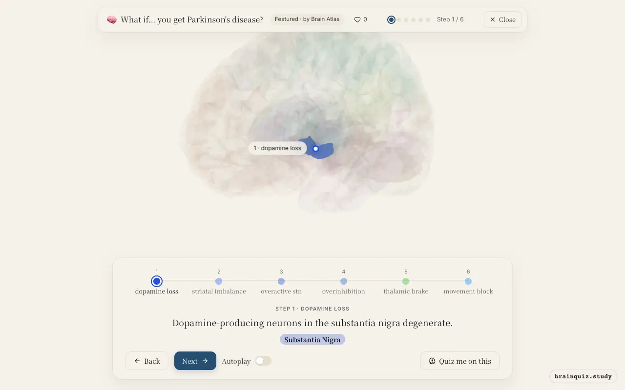 Step 1 of what happens in your brain when you get Parkinson's disease: Substantia Nigra lit on the Brain Atlas 3D brain