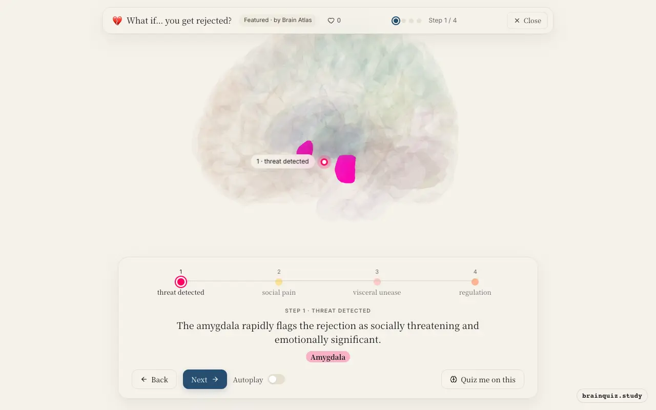 Step 1 of what happens in your brain when you get rejected: Amygdala lit on the Brain Atlas 3D brain