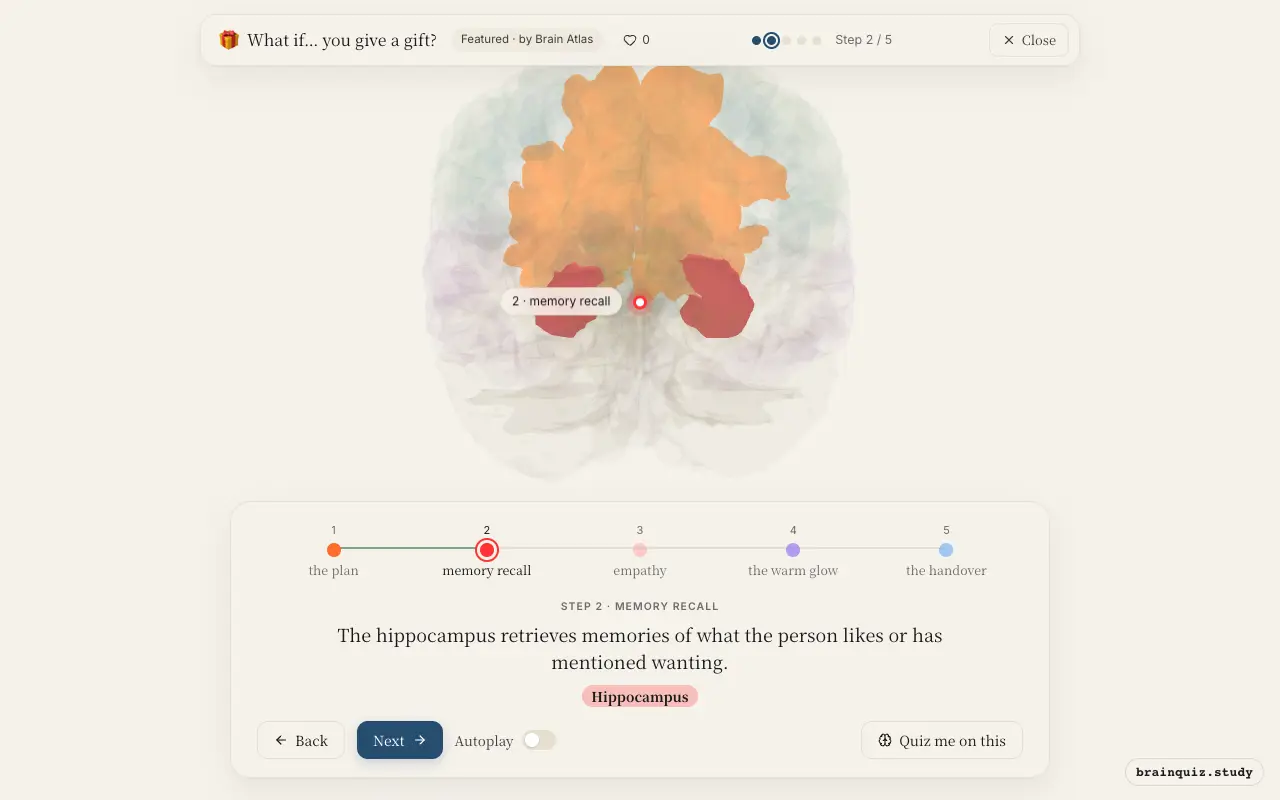 Step 2 of what happens in your brain when you give a gift: Prefrontal Cortex, Hippocampus lit on the Brain Atlas 3D brain