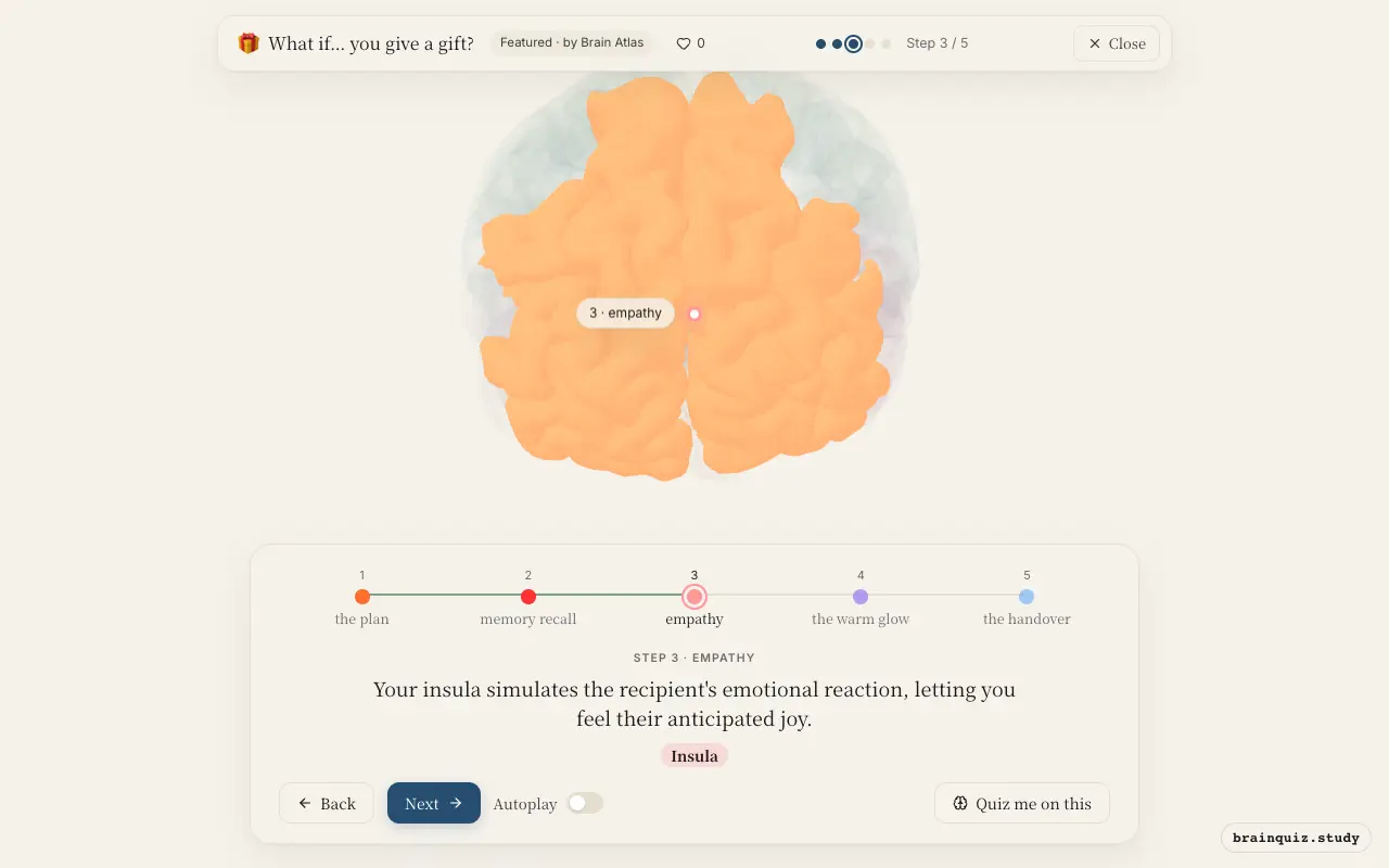 Step 3 of what happens in your brain when you give a gift: Prefrontal Cortex, Hippocampus, Insula lit on the Brain Atlas 3D brain