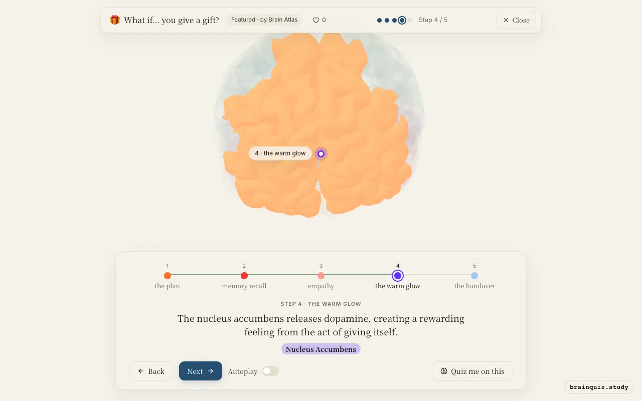 Step 4 of what happens in your brain when you give a gift: Prefrontal Cortex, Hippocampus, Insula, Nucleus Accumbens lit on the Brain Atlas 3D brain
