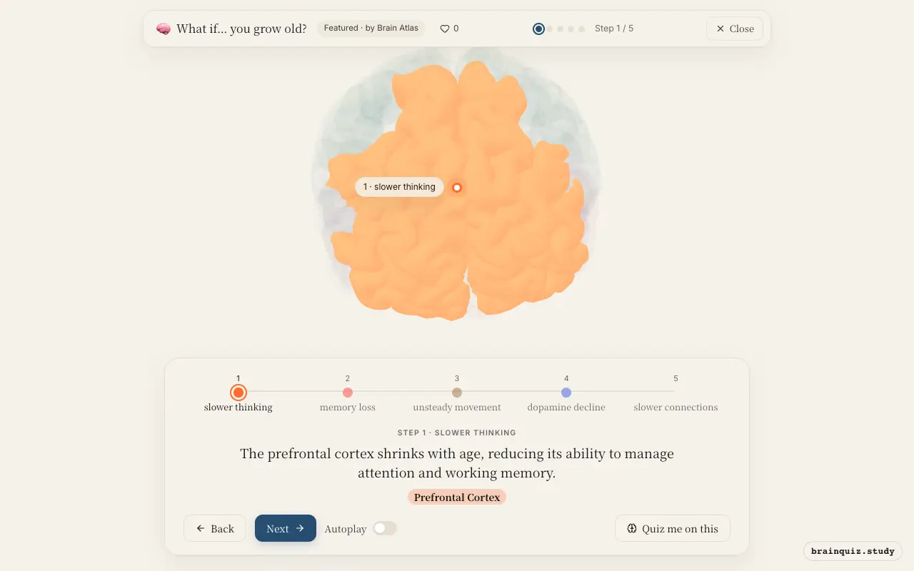 Step 1 of what happens in your brain when you grow old: Prefrontal Cortex lit on the Brain Atlas 3D brain