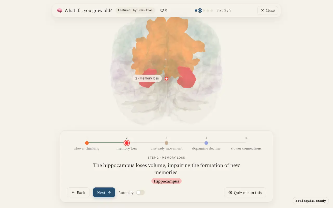 Step 2 of what happens in your brain when you grow old: Prefrontal Cortex, Hippocampus lit on the Brain Atlas 3D brain