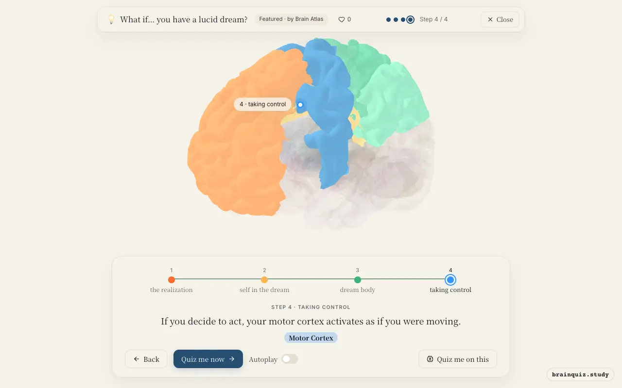 Prefrontal Cortex, Posterior Cingulate Cortex, Parietal Cortex, Motor Cortex lit up on the Brain Atlas 3D brain: what happens in your brain when you have a lucid dream