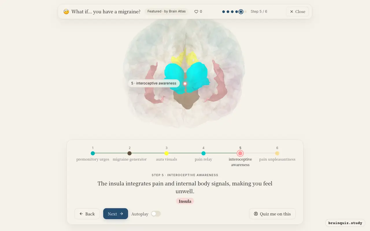 Step 5 of what happens in your brain when you have a migraine: Hypothalamus, Brainstem, Visual Cortex, Thalamus, Insula lit on the Brain Atlas 3D brain