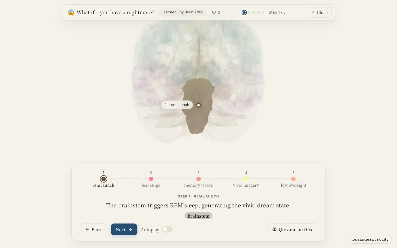Step 1 of what happens in your brain when you have a nightmare: Brainstem lit on the Brain Atlas 3D brain