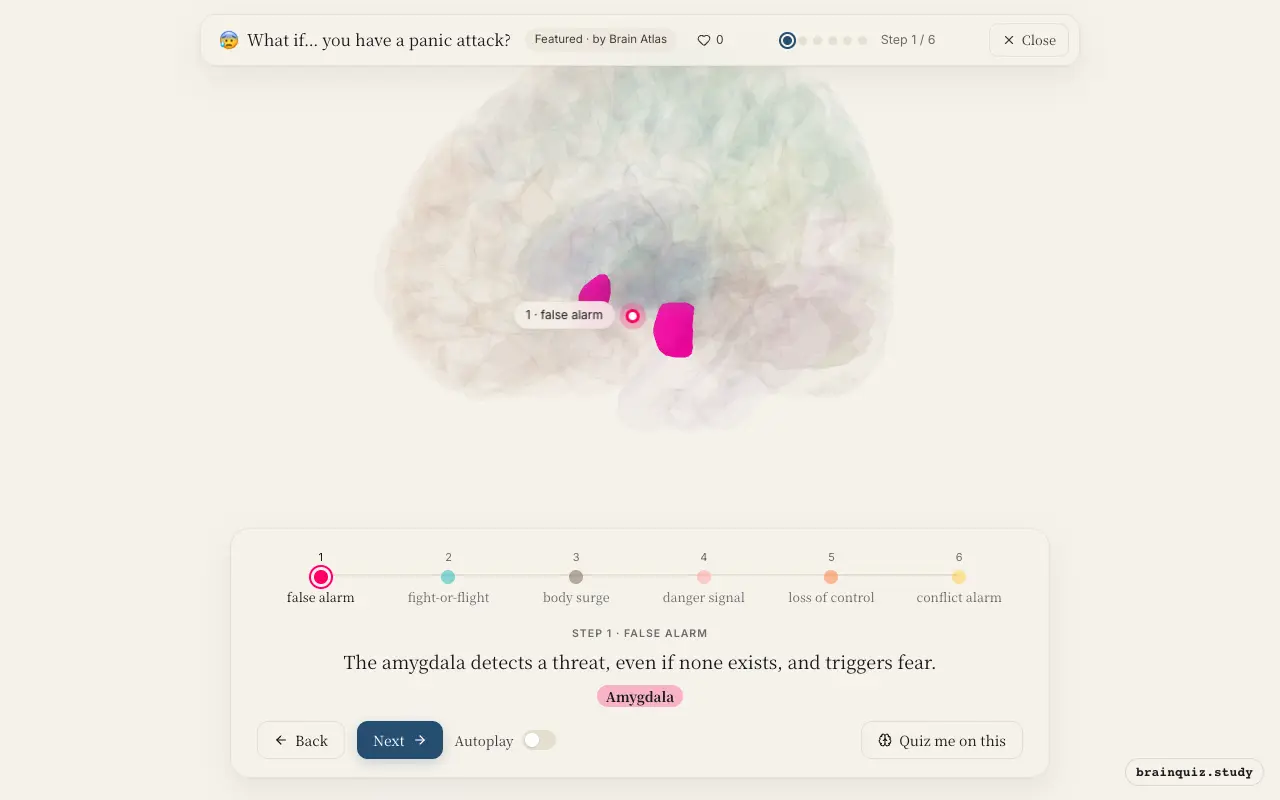 Step 1 of what happens in your brain when you have a panic attack: Amygdala lit on the Brain Atlas 3D brain