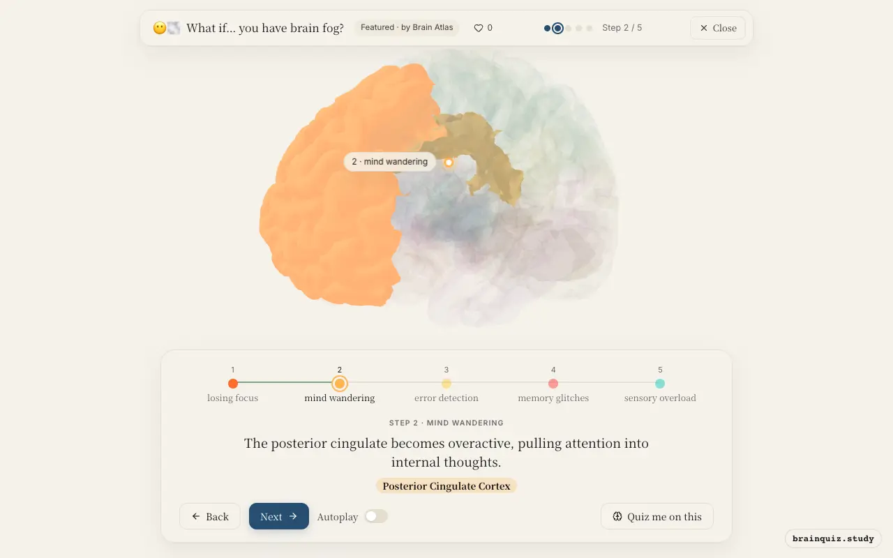 Step 2 of what happens in your brain when you have brain fog: Prefrontal Cortex, Posterior Cingulate Cortex lit on the Brain Atlas 3D brain
