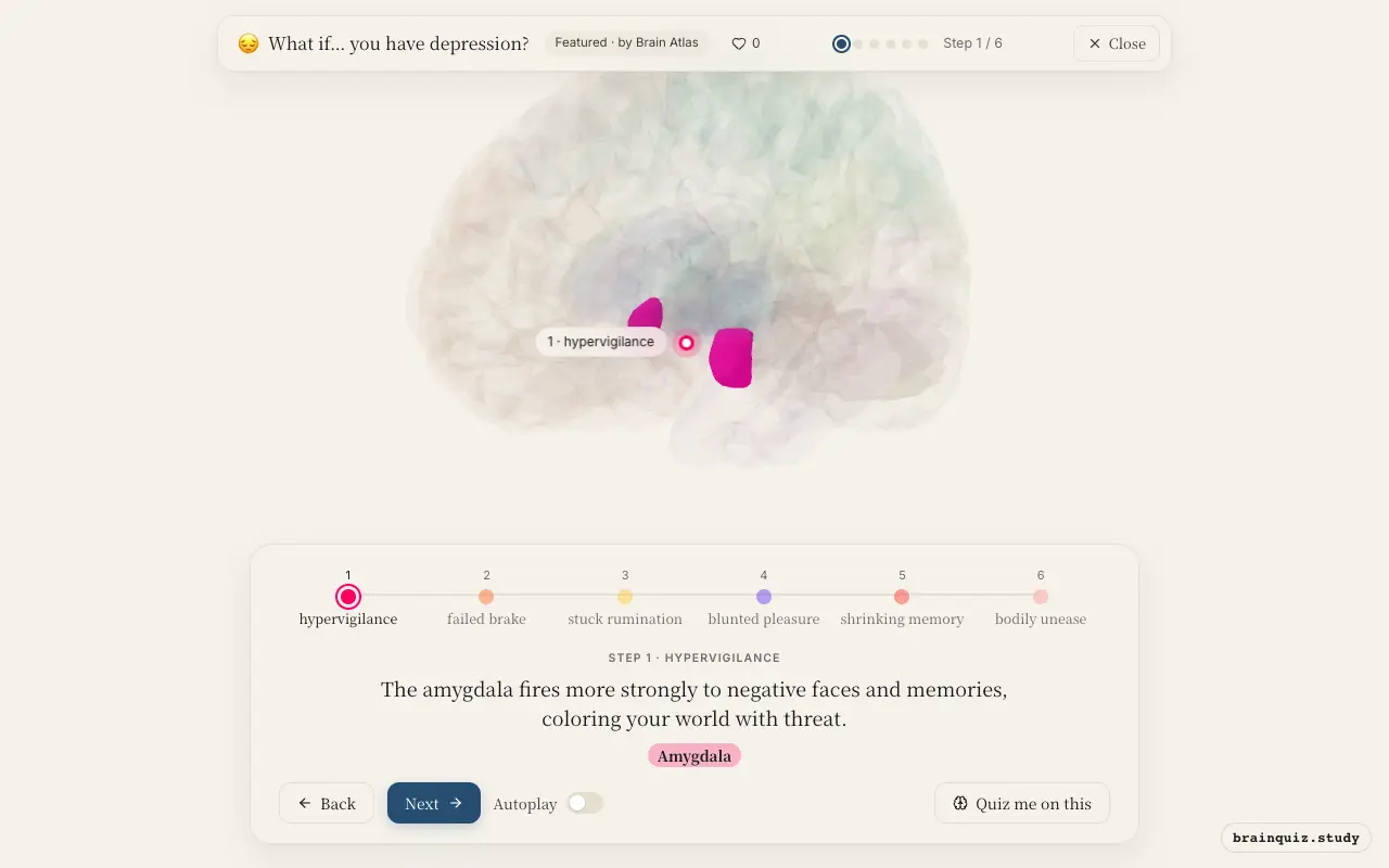 Step 1 of what happens in your brain when you have depression: Amygdala lit on the Brain Atlas 3D brain