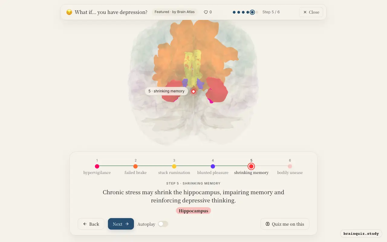 Step 5 of what happens in your brain when you have depression: Amygdala, Prefrontal Cortex, Anterior Cingulate Cortex, Nucleus Accumbens, Hippocampus lit on the Brain Atlas 3D brain
