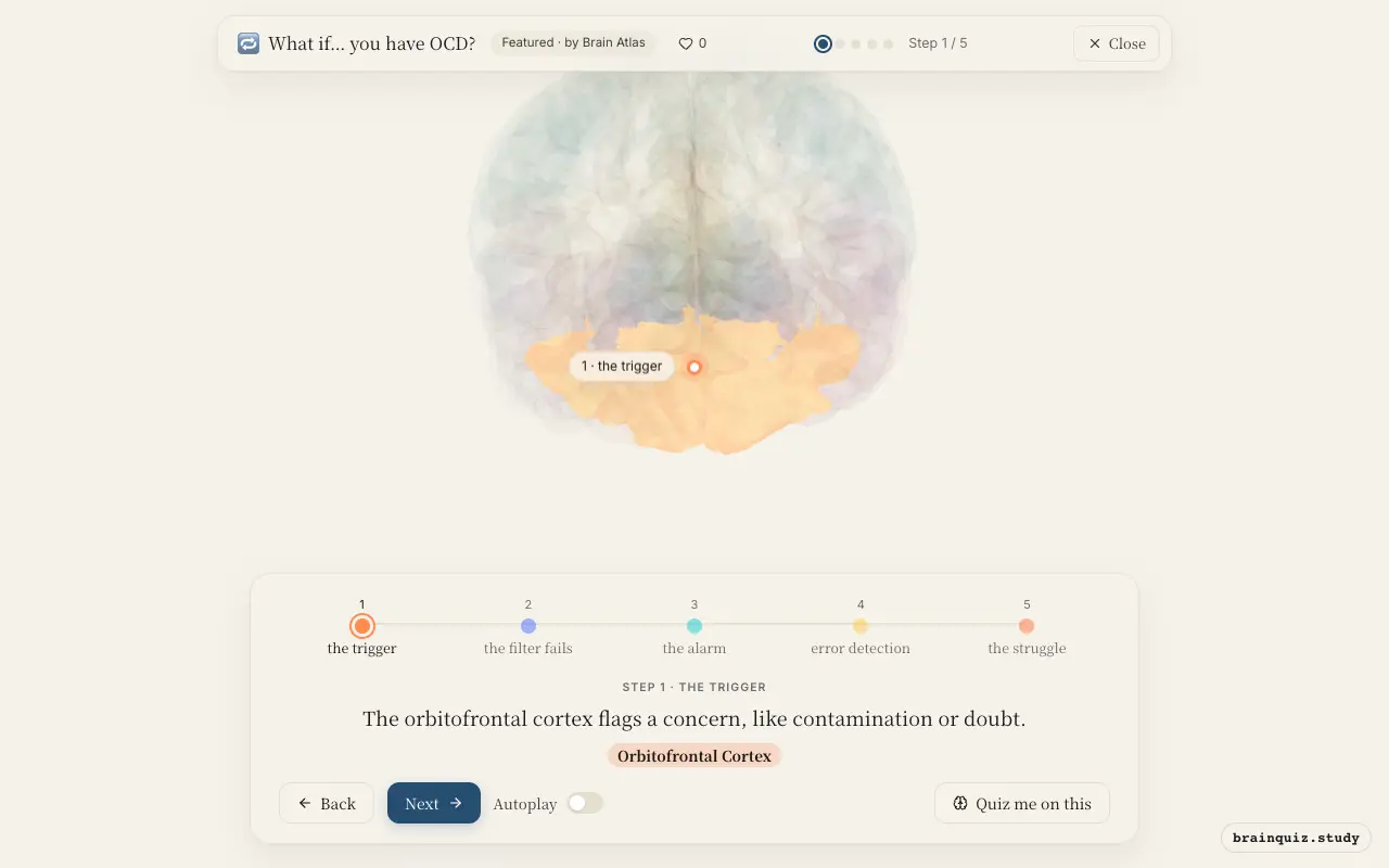 Step 1 of what happens in your brain when you have OCD: Orbitofrontal Cortex lit on the Brain Atlas 3D brain