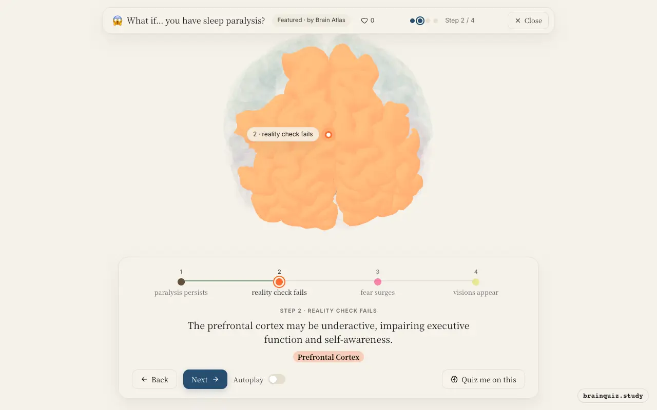Step 2 of what happens in your brain when you have sleep paralysis: Brainstem, Prefrontal Cortex lit on the Brain Atlas 3D brain