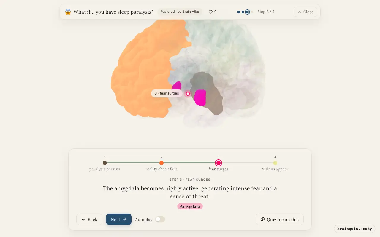 Step 3 of what happens in your brain when you have sleep paralysis: Brainstem, Prefrontal Cortex, Amygdala lit on the Brain Atlas 3D brain