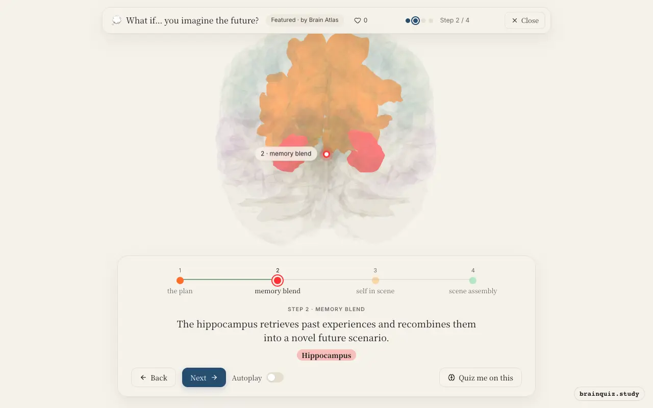 Step 2 of what happens in your brain when you imagine the future: Prefrontal Cortex, Hippocampus lit on the Brain Atlas 3D brain