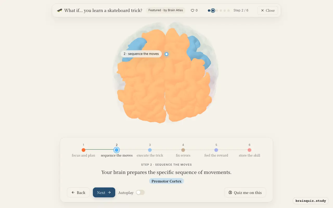 Step 2 of what happens in your brain when you learn a skateboard trick: Prefrontal Cortex, Premotor Cortex lit on the Brain Atlas 3D brain