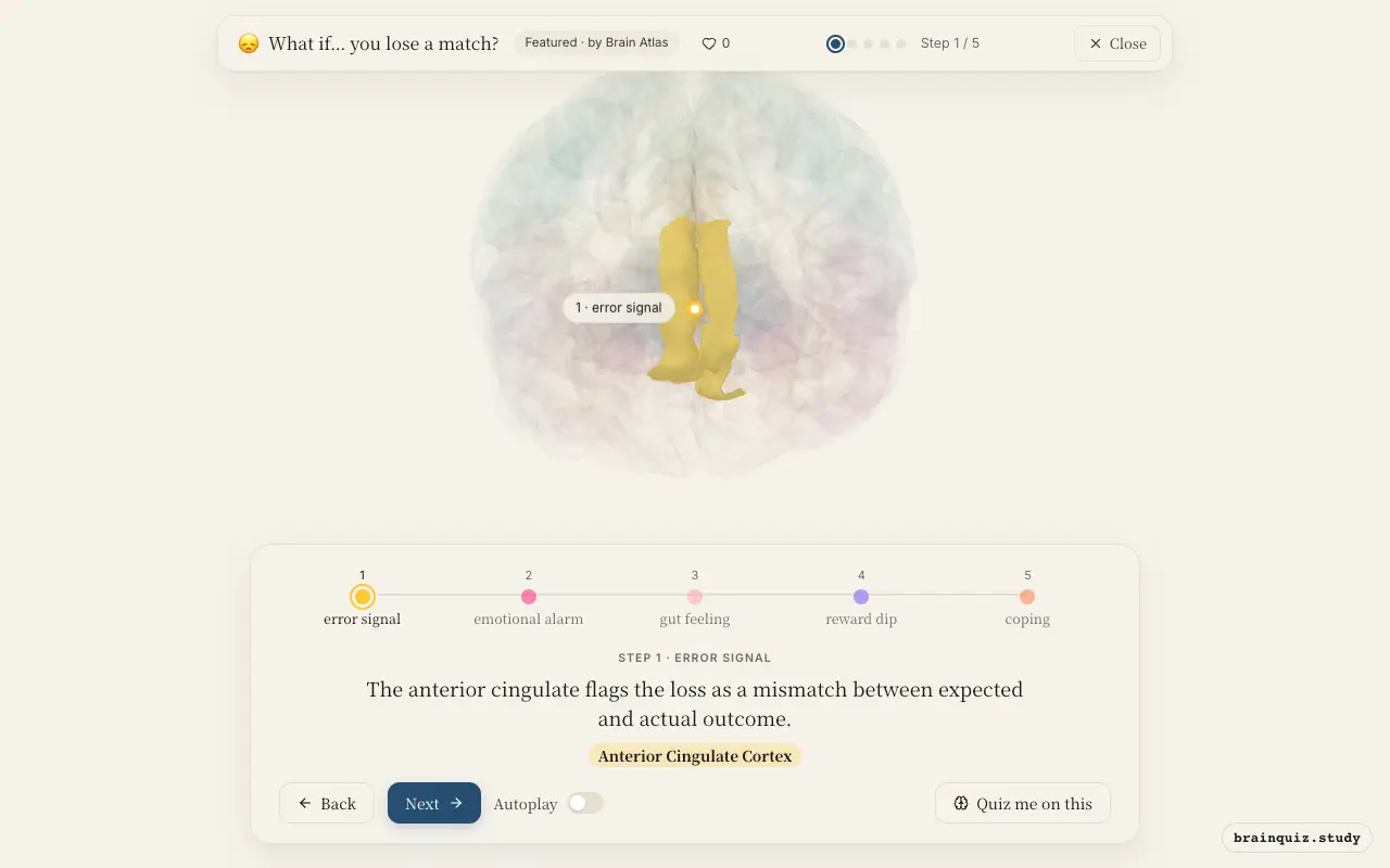 Step 1 of what happens in your brain when you lose a match: Anterior Cingulate Cortex lit on the Brain Atlas 3D brain