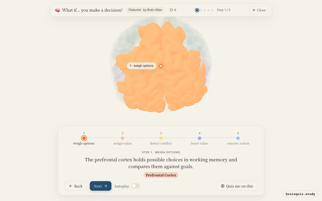 Step 1 of what happens in your brain when you make a decision: Prefrontal Cortex lit on the Brain Atlas 3D brain