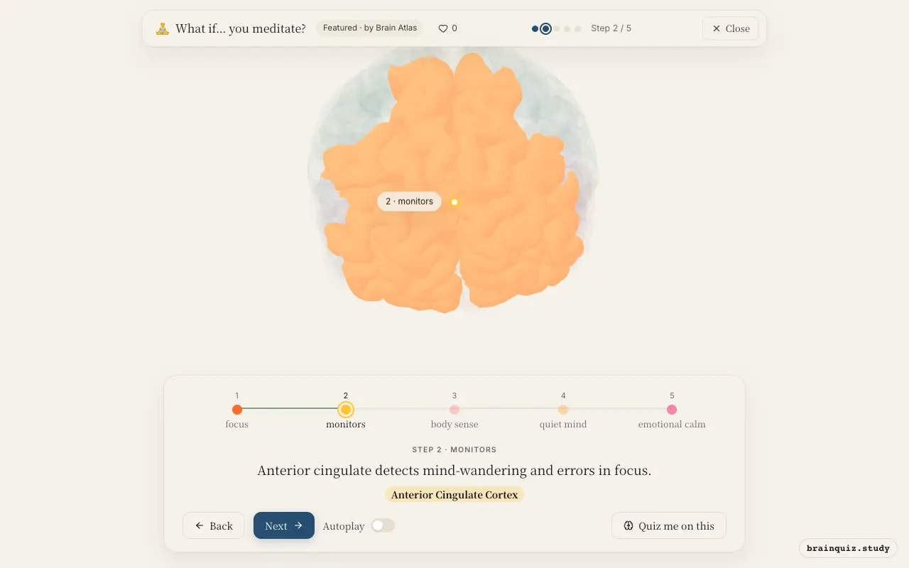 Step 2 of what happens in your brain when you meditate: Prefrontal Cortex, Anterior Cingulate Cortex lit on the Brain Atlas 3D brain