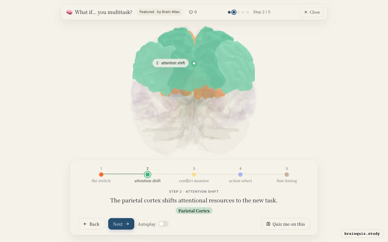 Step 2 of what happens in your brain when you multitask: Prefrontal Cortex, Parietal Cortex lit on the Brain Atlas 3D brain