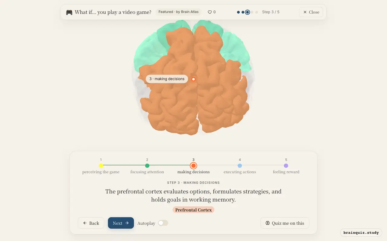 Step 3 of what happens in your brain when you play a video game: Visual Cortex, Parietal Cortex, Prefrontal Cortex lit on the Brain Atlas 3D brain