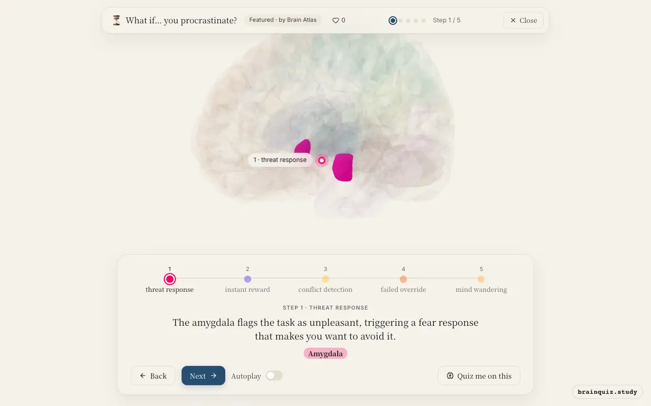 Step 1 of what happens in your brain when you procrastinate: Amygdala lit on the Brain Atlas 3D brain
