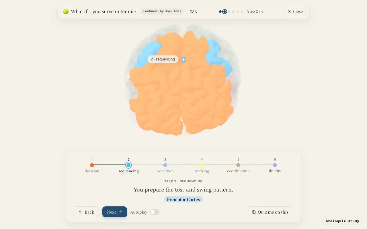 Step 2 of what happens in your brain when you serve in tennis: Prefrontal Cortex, Premotor Cortex lit on the Brain Atlas 3D brain