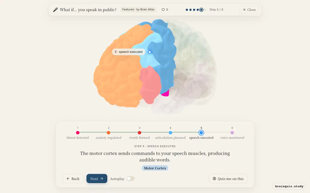 Step 5 of what happens in your brain when you speak in public: Amygdala, Prefrontal Cortex, Broca's Area, Premotor Cortex, Motor Cortex lit on the Brain Atlas 3D brain