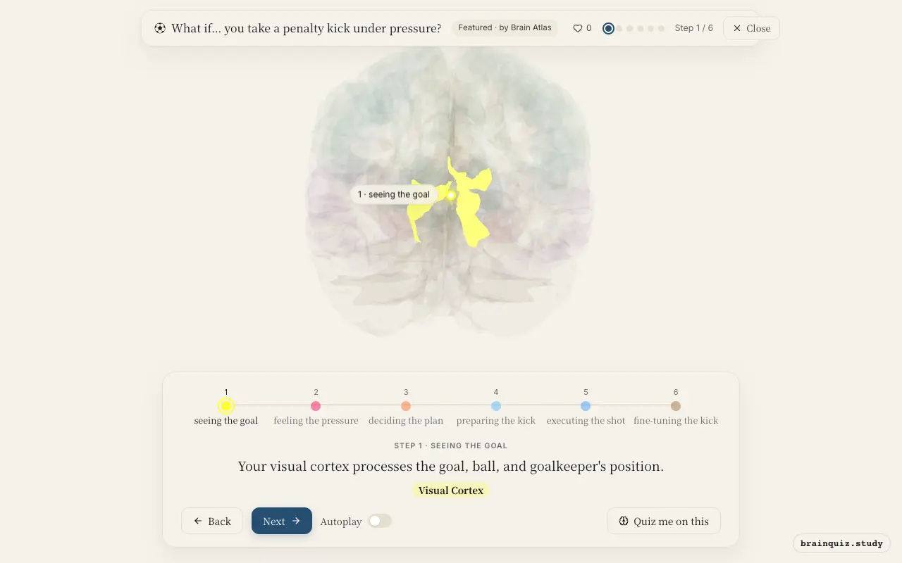 Step 1 of what happens in your brain when you take a penalty kick under pressure: Visual Cortex lit on the Brain Atlas 3D brain