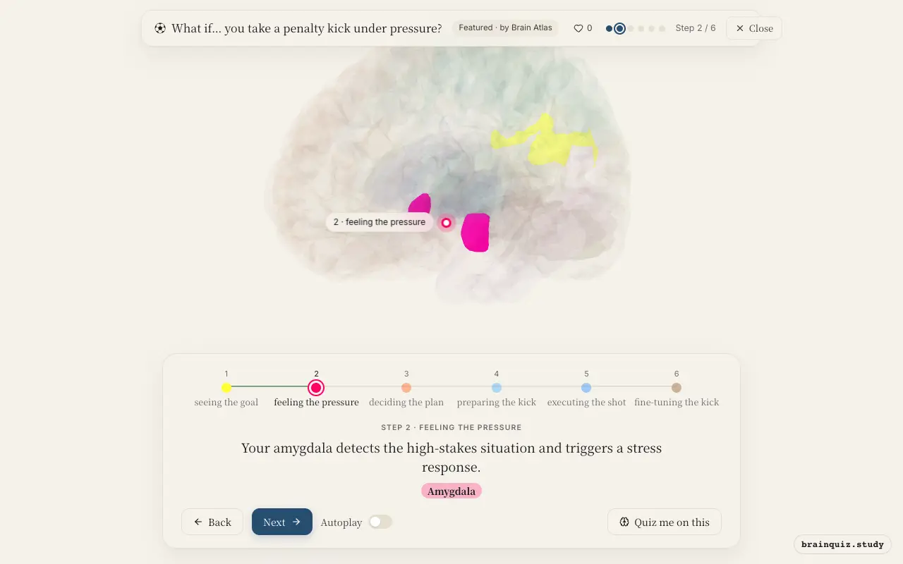 Step 2 of what happens in your brain when you take a penalty kick under pressure: Visual Cortex, Amygdala lit on the Brain Atlas 3D brain
