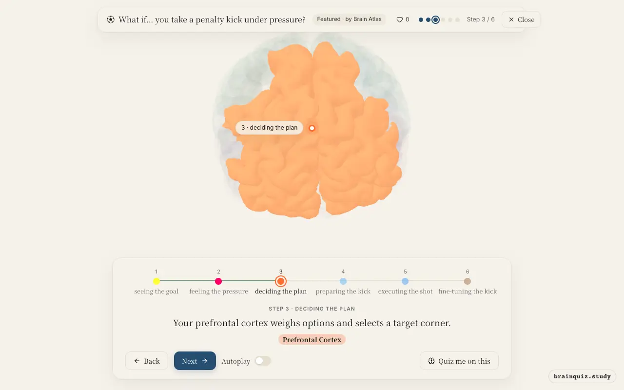 Step 3 of what happens in your brain when you take a penalty kick under pressure: Visual Cortex, Amygdala, Prefrontal Cortex lit on the Brain Atlas 3D brain