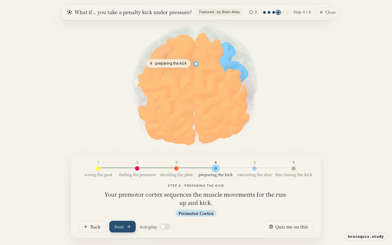 Step 4 of what happens in your brain when you take a penalty kick under pressure: Visual Cortex, Amygdala, Prefrontal Cortex, Premotor Cortex lit on the Brain Atlas 3D brain