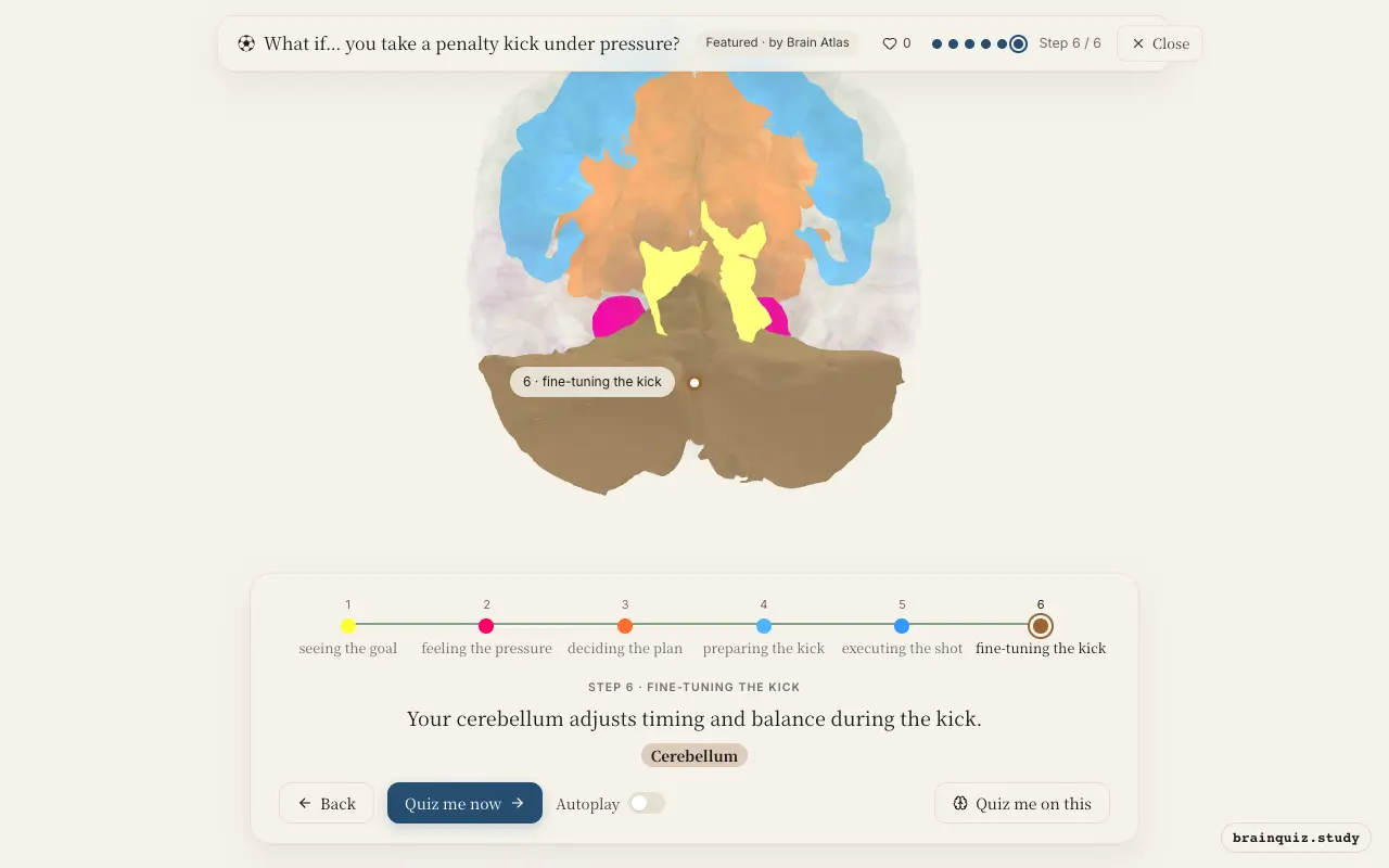 Visual Cortex, Amygdala, Prefrontal Cortex, Premotor Cortex, Motor Cortex, Cerebellum lit up on the Brain Atlas 3D brain: what happens in your brain when you take a penalty kick under pressure
