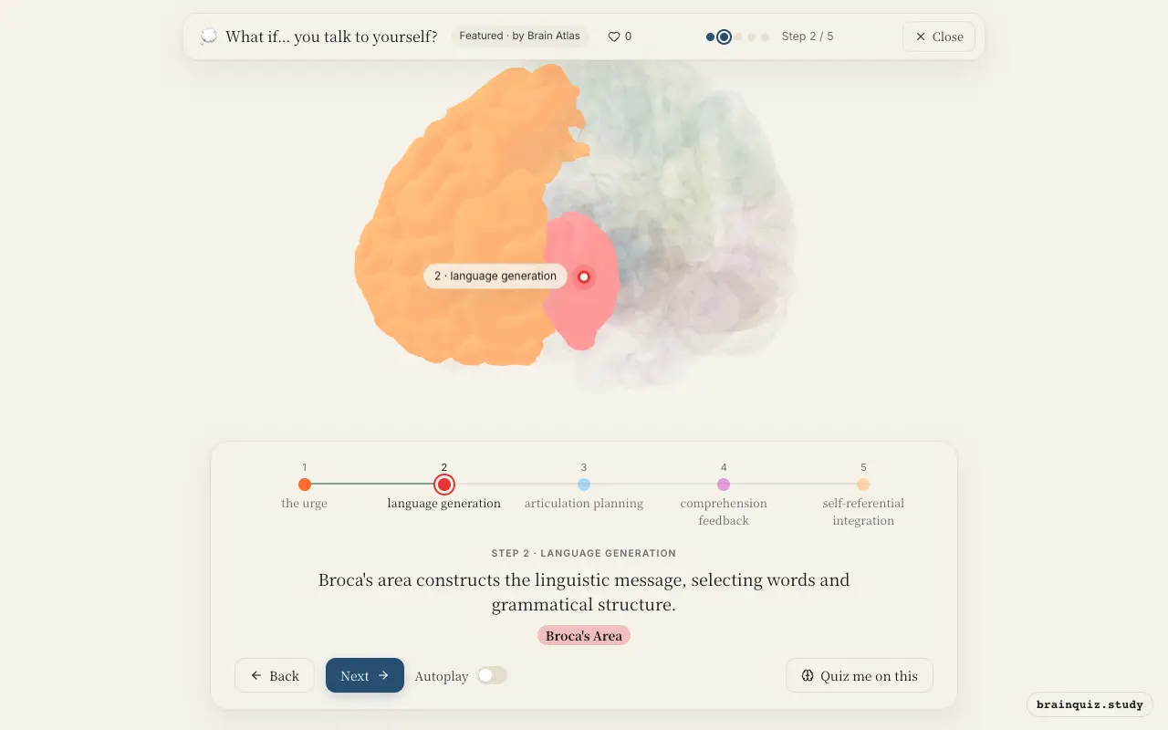 Step 2 of what happens in your brain when you talk to yourself: Prefrontal Cortex, Broca's Area lit on the Brain Atlas 3D brain